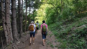 Barfusswandern-1024x576