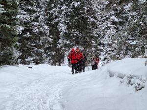 WhatsApp Image 2026-01-25 at 13.17.00 (3)