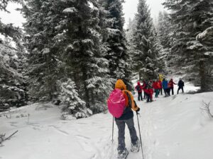 WhatsApp Image 2026-01-25 at 15.47.25 (5)