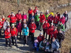 WhatsApp Image 2026-02-15 at 15.36.36